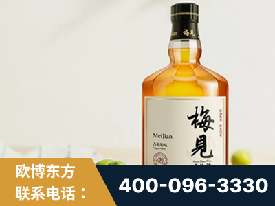 铜陵-梅见青梅酒